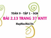 Bài 2.13 trang 37 Toán 9 tập 1 Kết nối tri thức